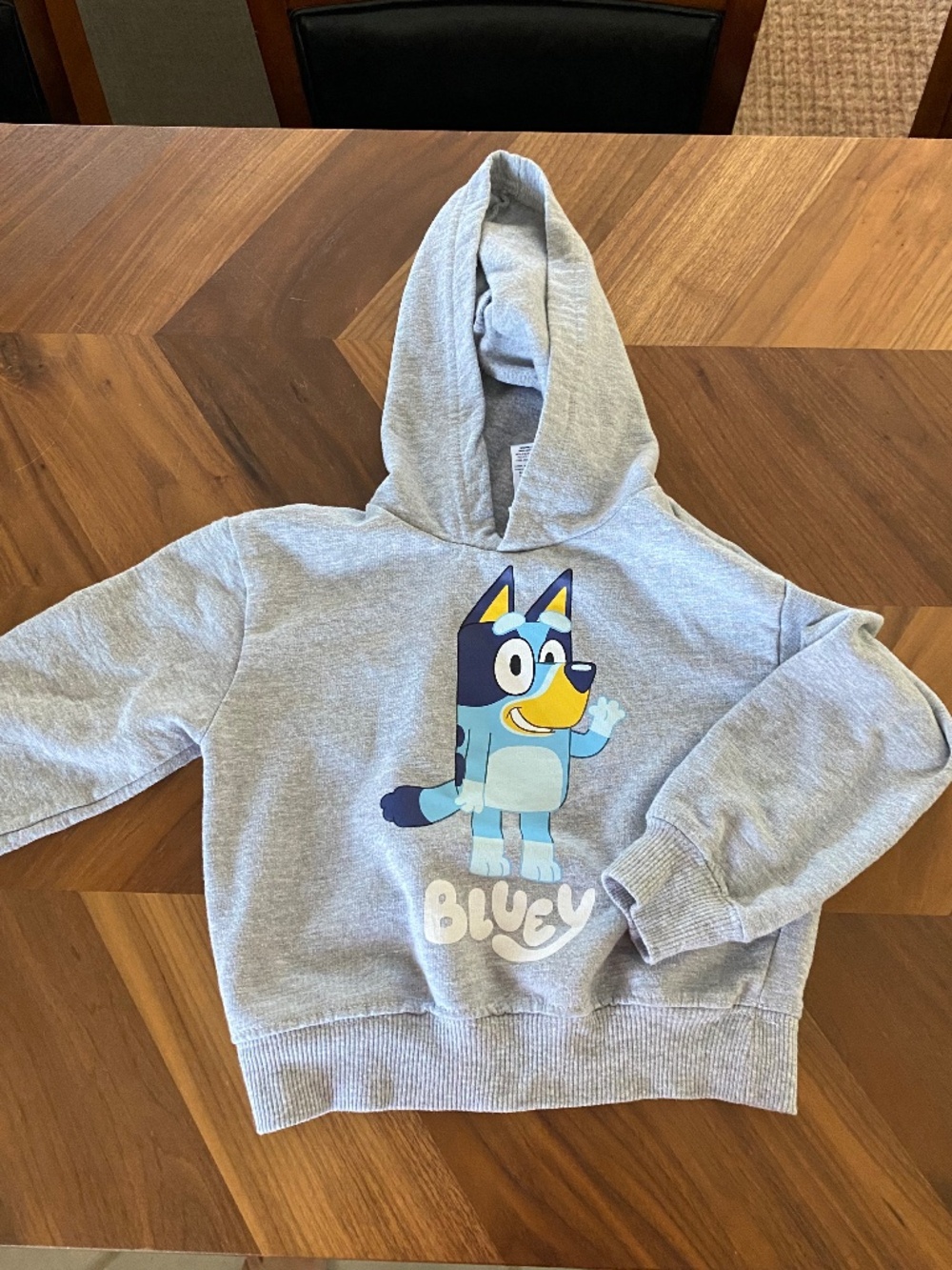 Bluey Hoodie